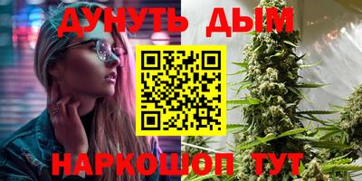гашик Можга