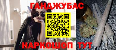 гашик Можга