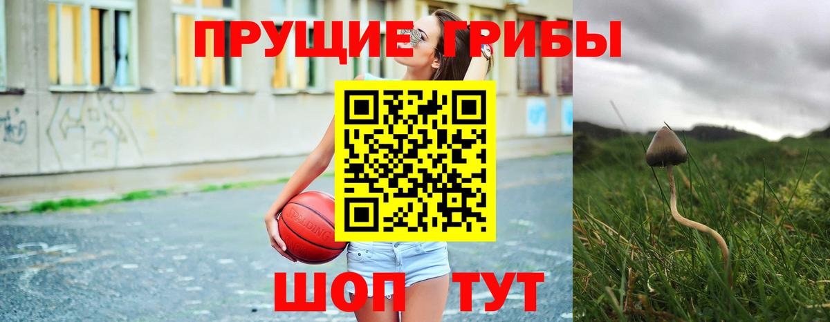 Фролово  Псилоцибиновые грибы Cubensis  Вход с VPN  Псилоцибиновые грибы ЛСД 